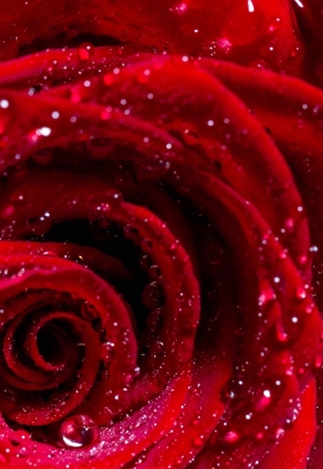 ника (@nika42427) — моя фотография № 1