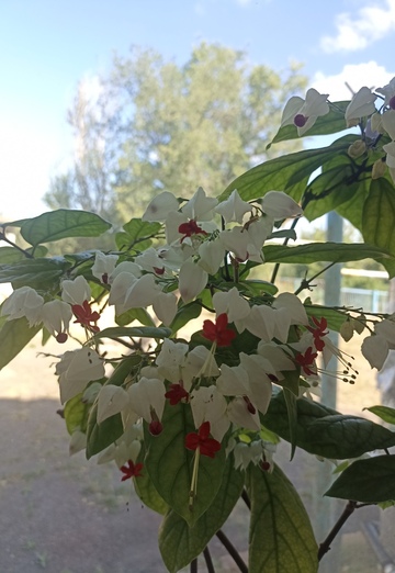 Нина (@nina53726) — моя фотография № 2