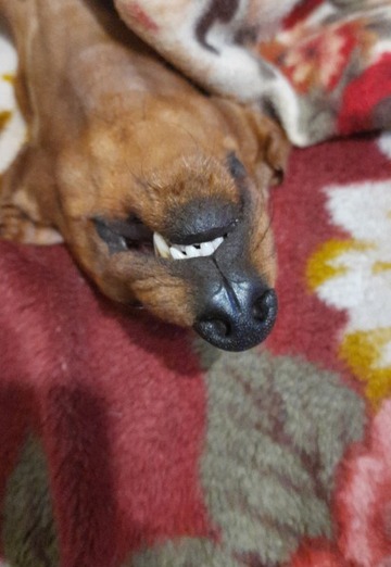 Оксана (@oksana153572) — моя фотография № 2