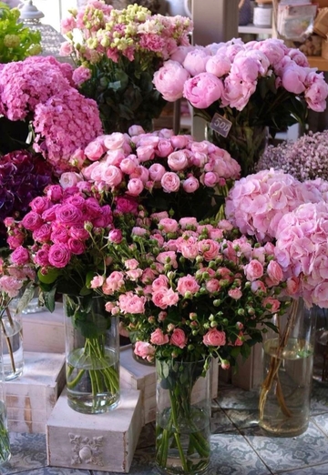 Nazlı (@nazl16) — моя фотография № 1