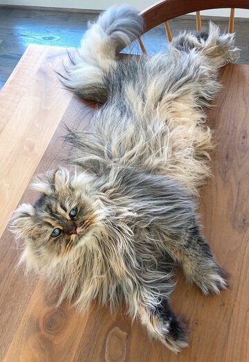 Karasco (@karasco) — моя фотография № 2