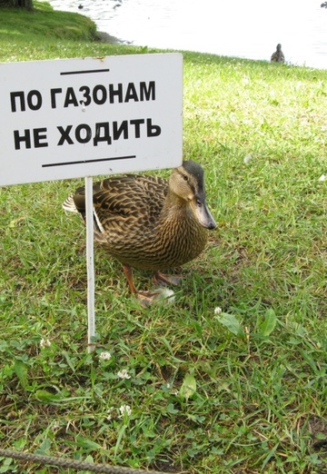 Алексей (@aleksey728913) — моя фотография № 1