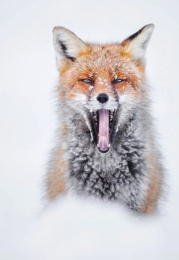 Олег (@oleg370036) — моя фотография № 1