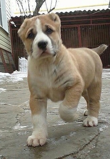 Игорь (@igor329227) — моя фотография № 1