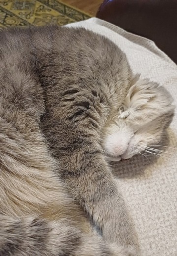 Karasco (@karasco) — моя фотография № 3