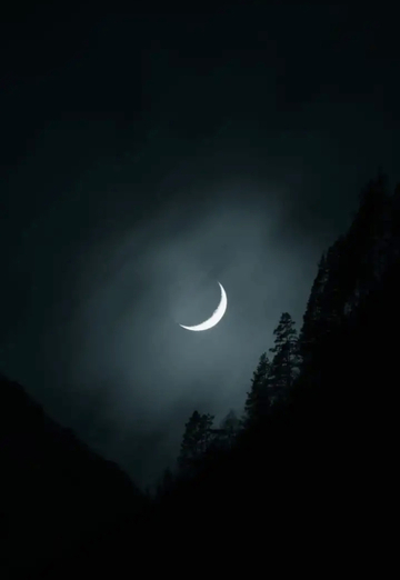 алекс (@aleks145771) — моя фотография № 1