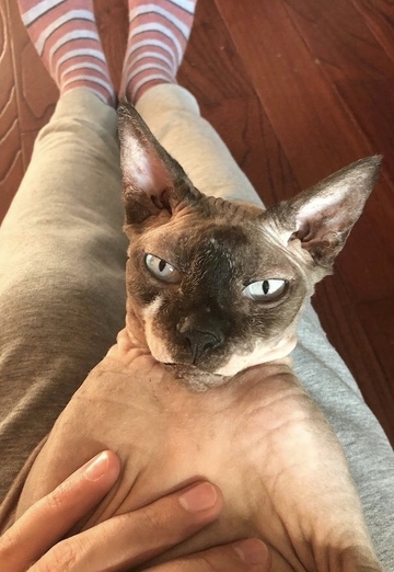 Aleksey (@aleksey602216) — моя фотография № 6