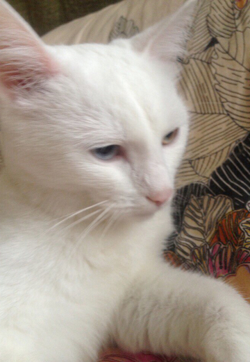 Aleksei (@aleksei9012) — моя фотография № 3