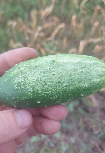 Николай (@nikolay293497) — моя фотография № 1