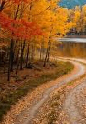 Ила (@ila232) — моя фотография № 2